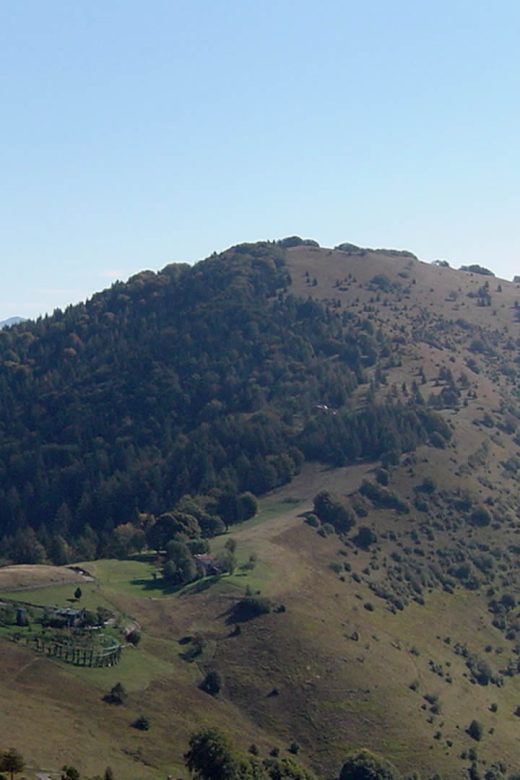 Monte Carzen